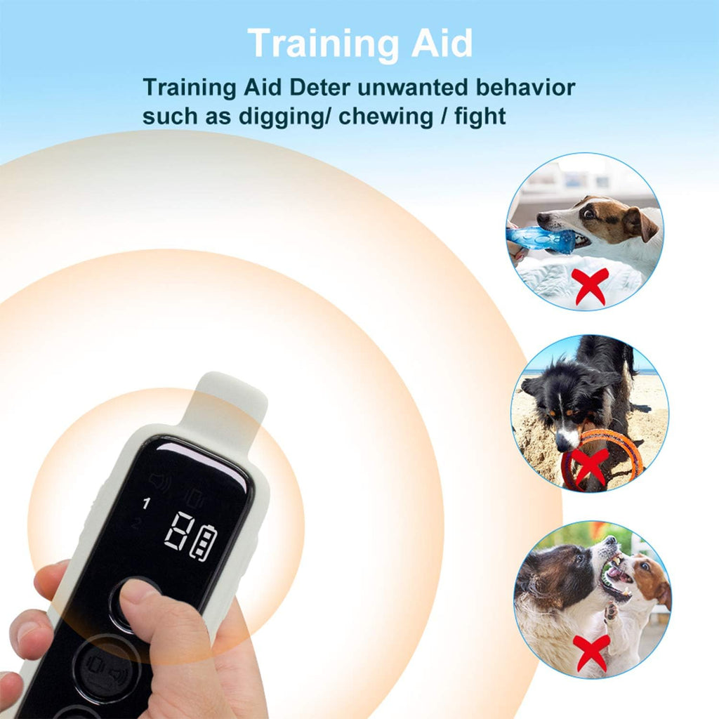 Non-Schock Remote Waterproof Rechargeable Dog Training Collar, Pack of 2 D63080