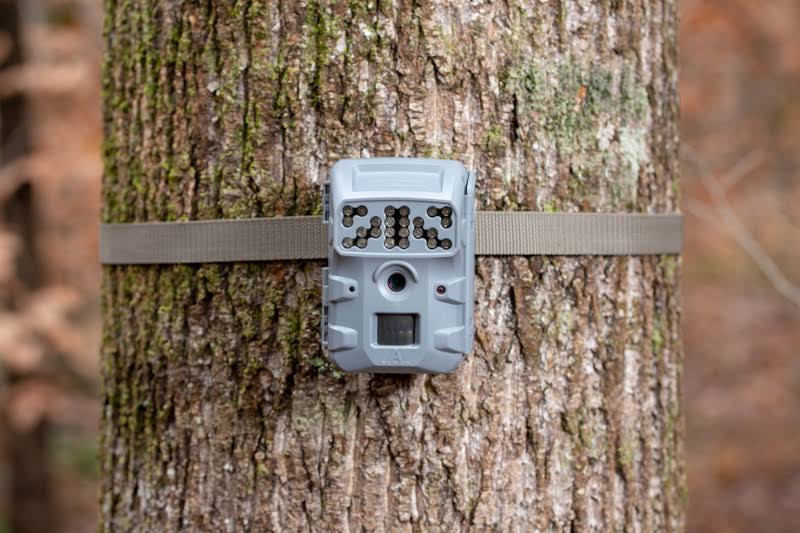 Game Camera K35552