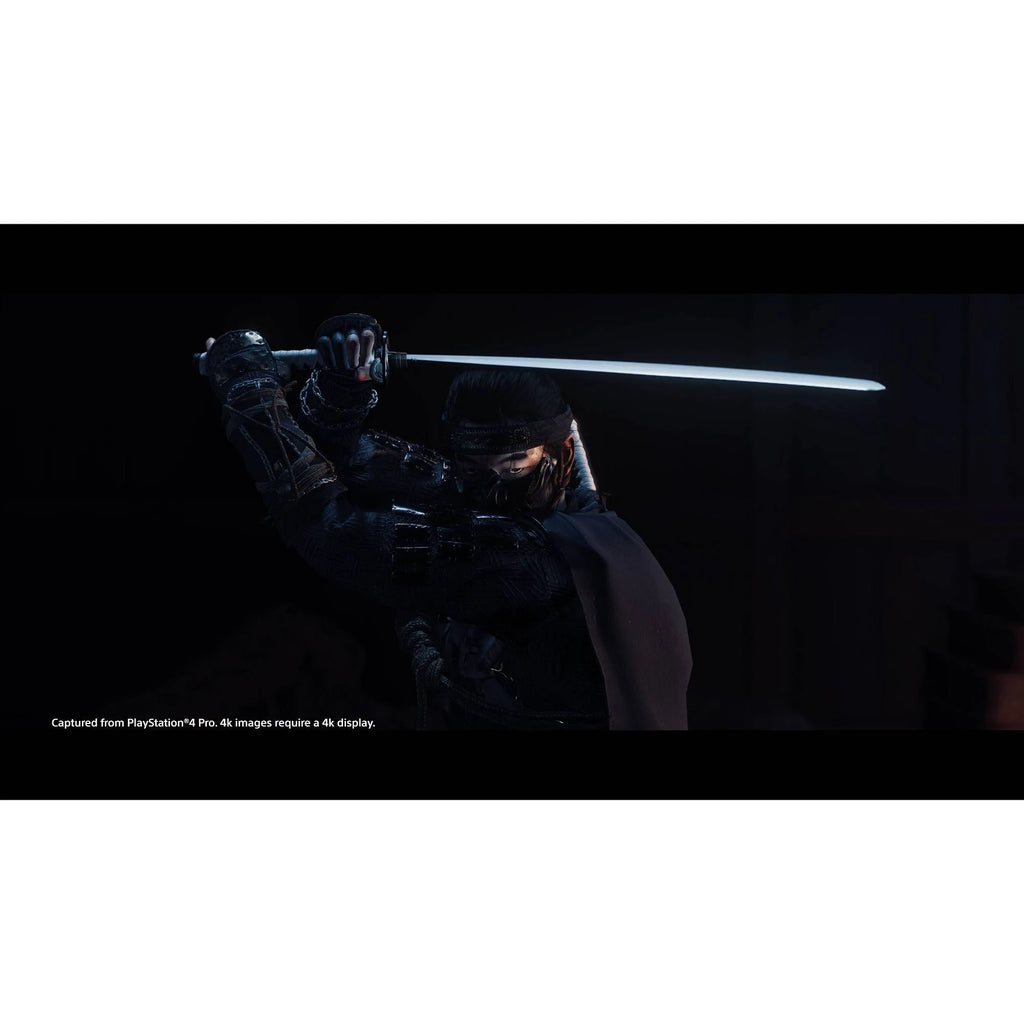 Ghost of Tsushima Special Edition PlayStation 4 D733