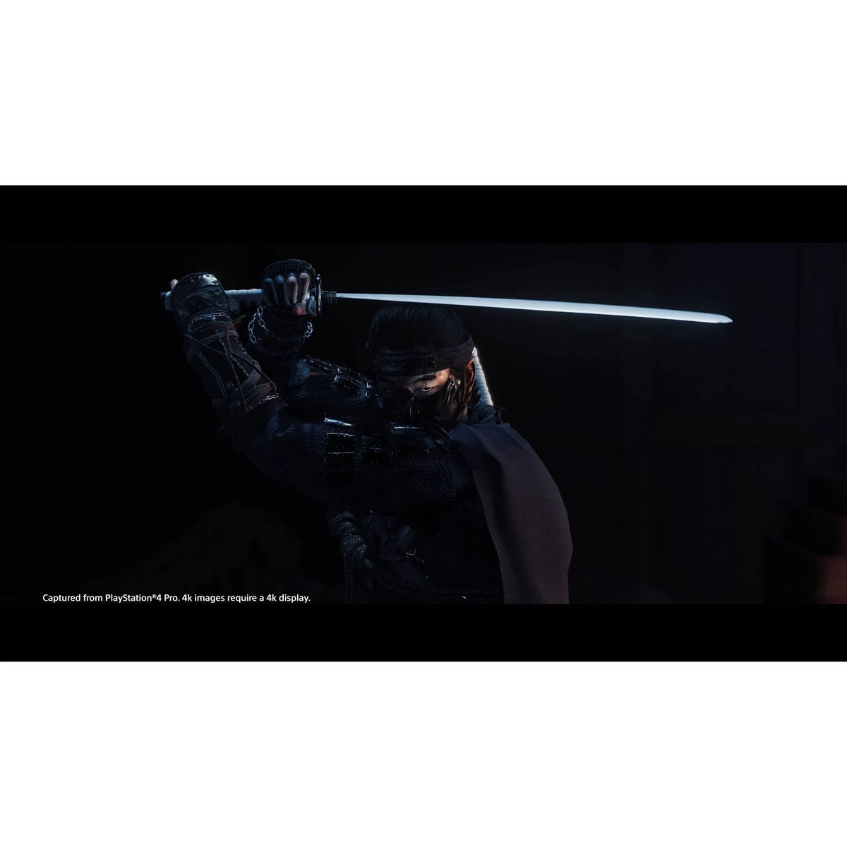 Ghost of Tsushima Special Edition PlayStation 4 D733