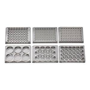 96 Well Non-Treated Plate, pk100 C5450