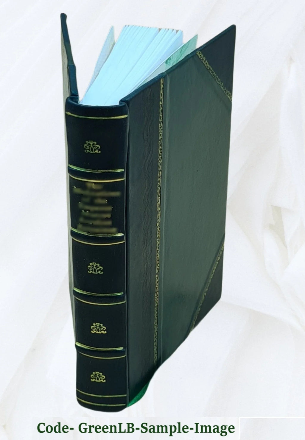 Leather Bound Novel G1469