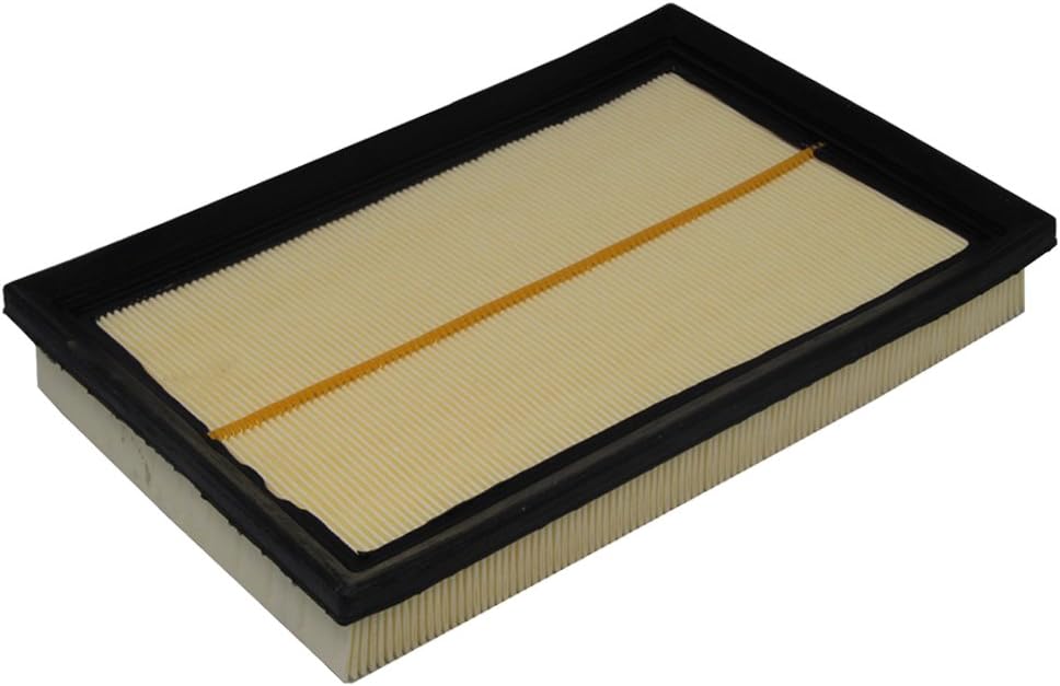 Engine Air Filter Pack of 2 B436994