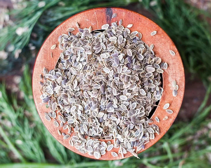 Dill Seeds, 5 Pounds I65907