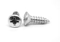 18-8 Stainless Steel Sheet Metal Screw W7689