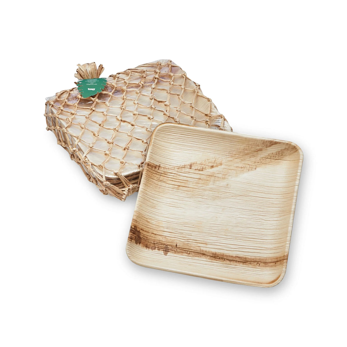 Palm Leaf 10" Plate, Set of 12 B95432