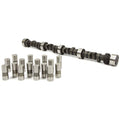 Cam & Lifter Kit V965169
