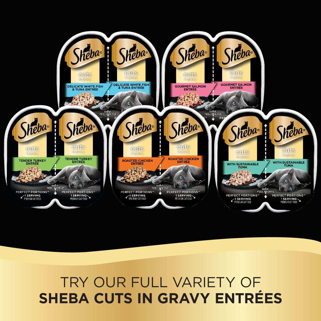 Cuts in Gravy Pet Food A922