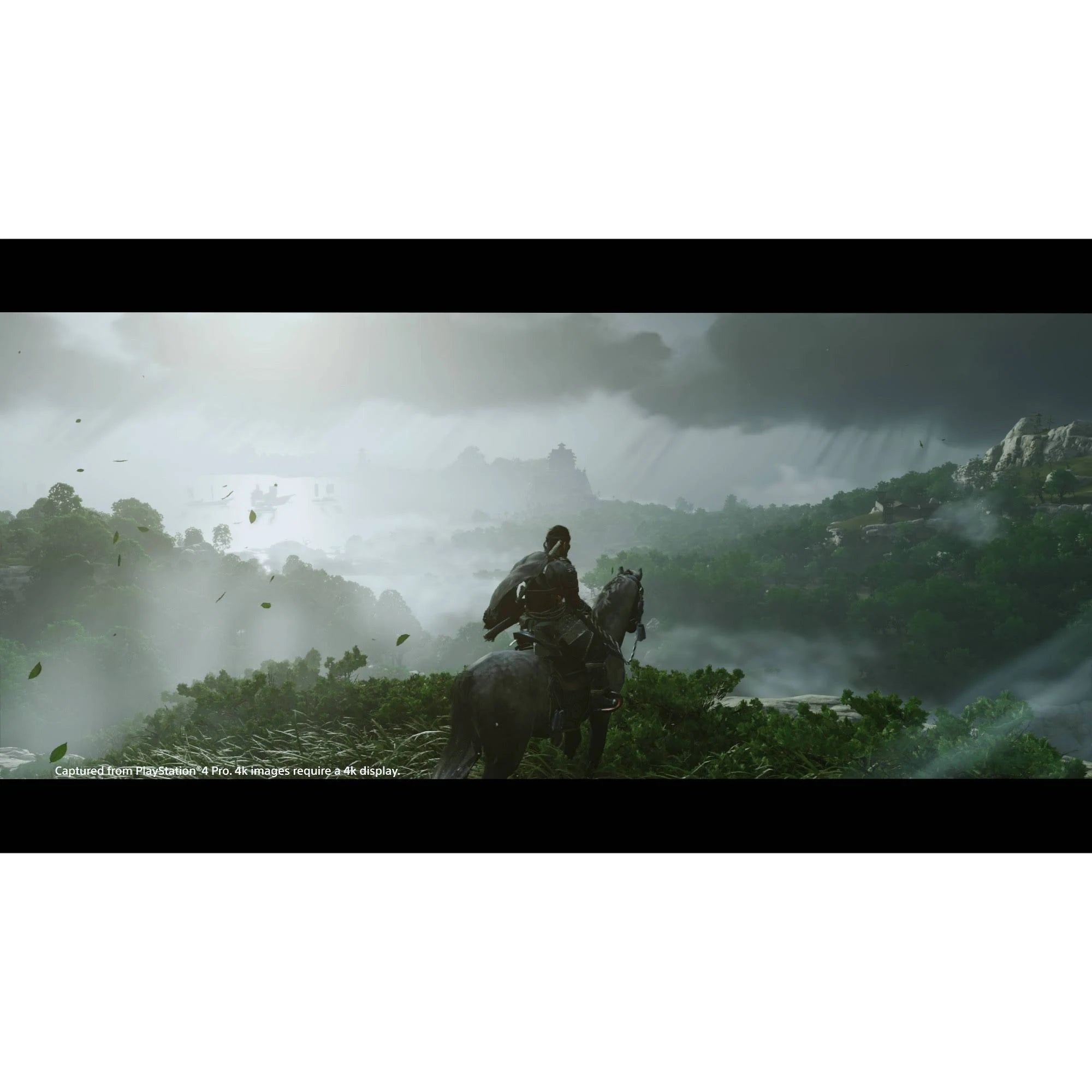 Ghost of Tsushima Special Edition PlayStation 4 D733