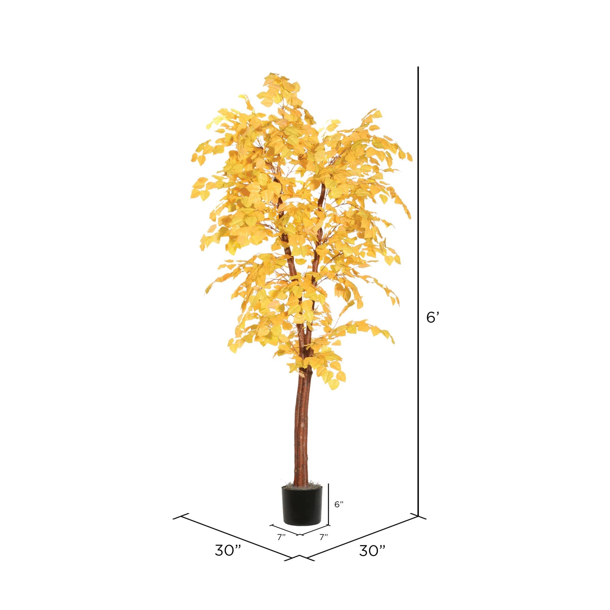 6& Golden Aspen Deluxe D9002