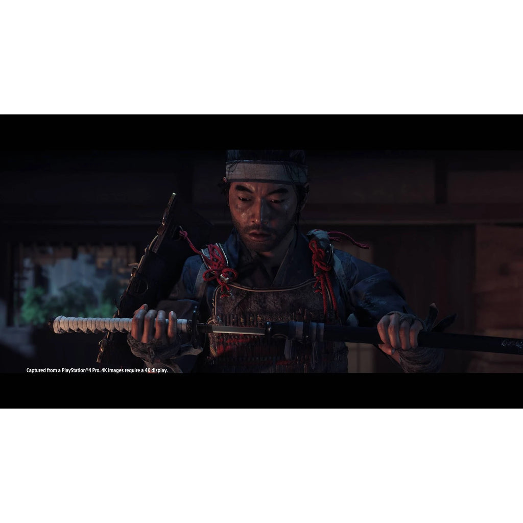 Ghost of Tsushima Special Edition PlayStation 4 D733