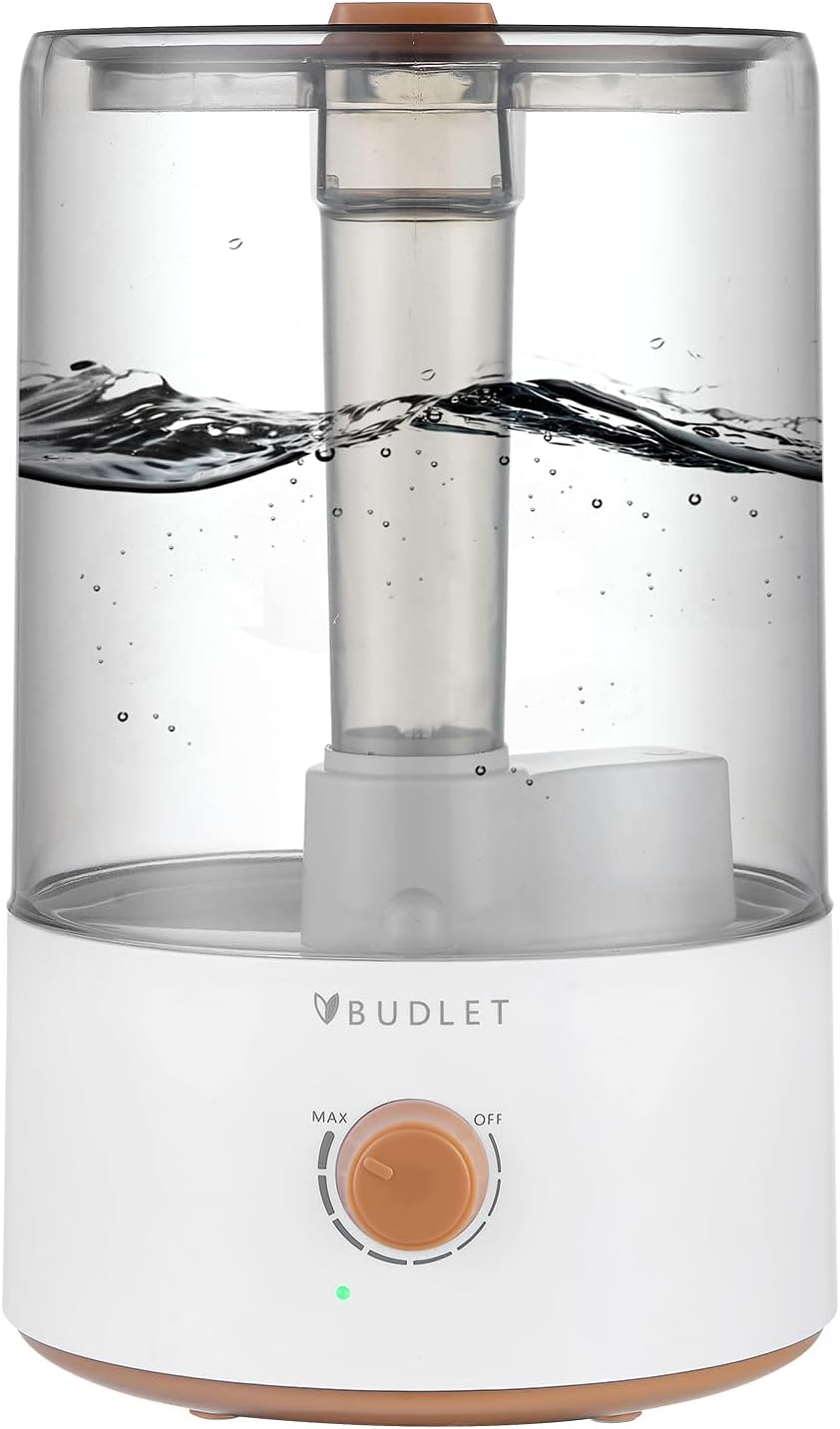 4.8L Cool Mist Humidifier with Timer and Water Purification Filter V43586