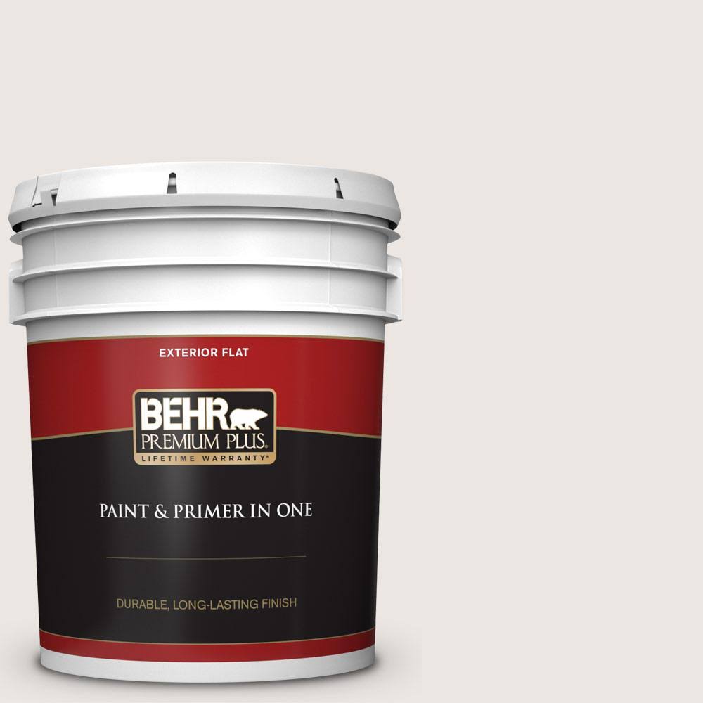 5 gal. Flat Exterior Paint and Primer in One C3259
