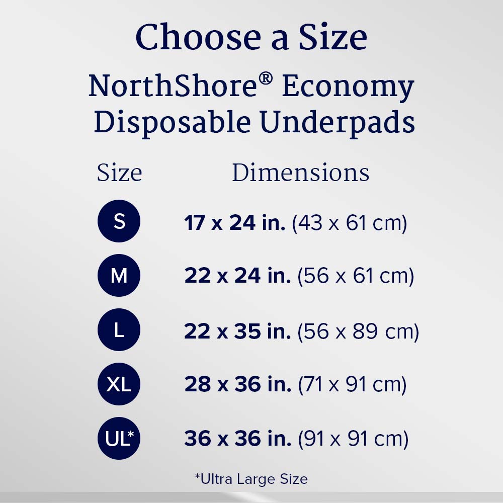 Economy Disposable Underpads, Large, 22x35 in., Case/150 K792
