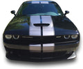 Decal Graphic Sticker Stripe Body Kit Pack of 2 C379