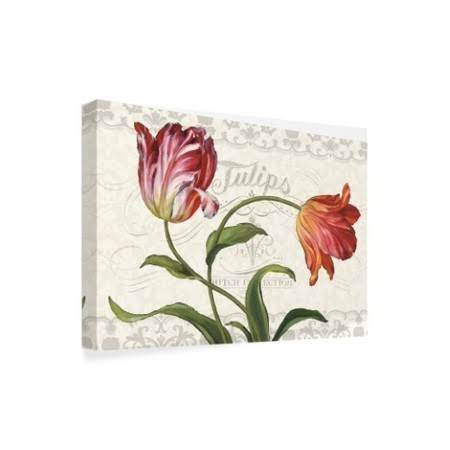 Tulipa Botanica I Canvas Art S649081