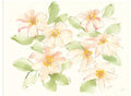 32x24 Canvas Art T470520