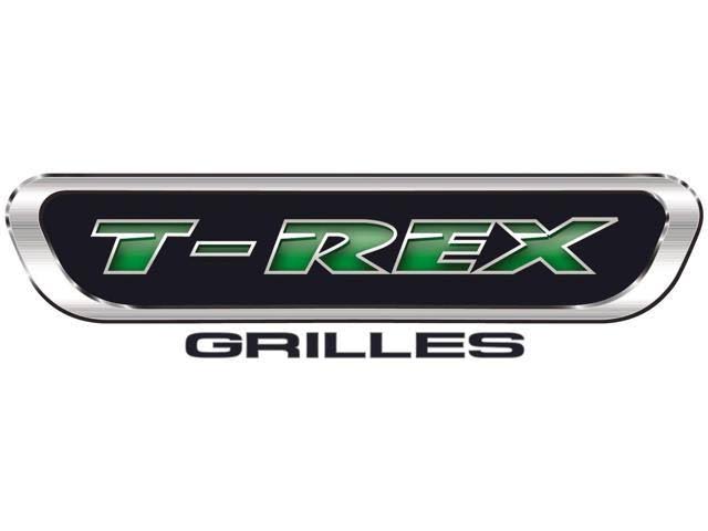Mesh Bumper Grille Overlay A867751