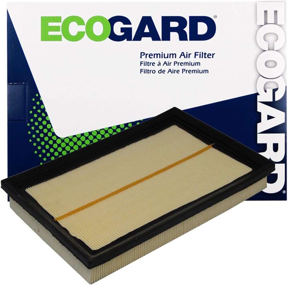 Engine Air Filter Pack of 2 B436994
