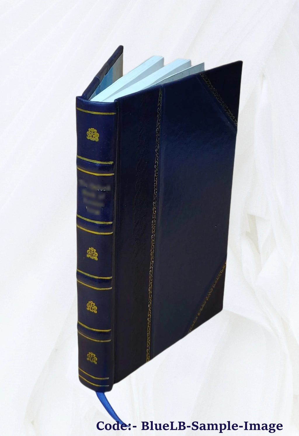Leather Bound Book W1665