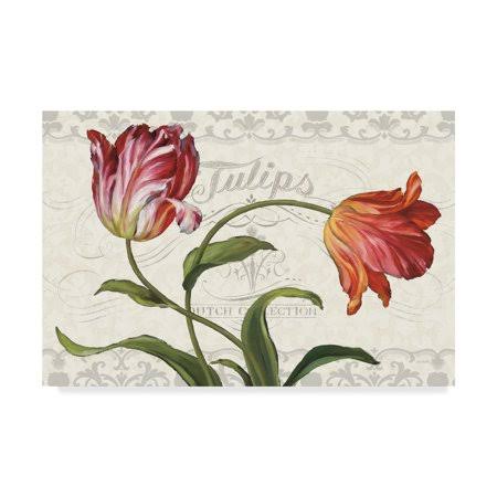 Tulipa Botanica I Canvas Art S649081