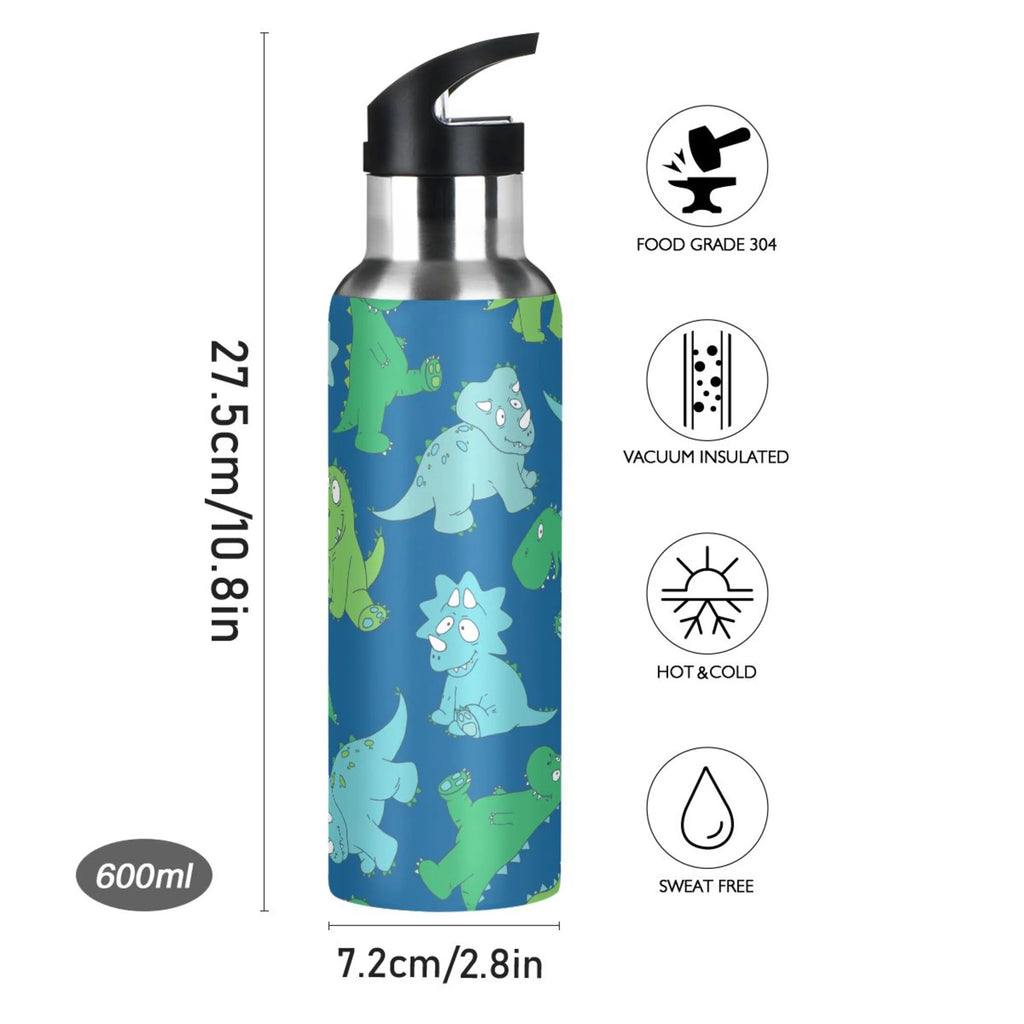 20 OZ Stainless Steel Vacuum Insulated Water Bottle with Straw Lid A471787