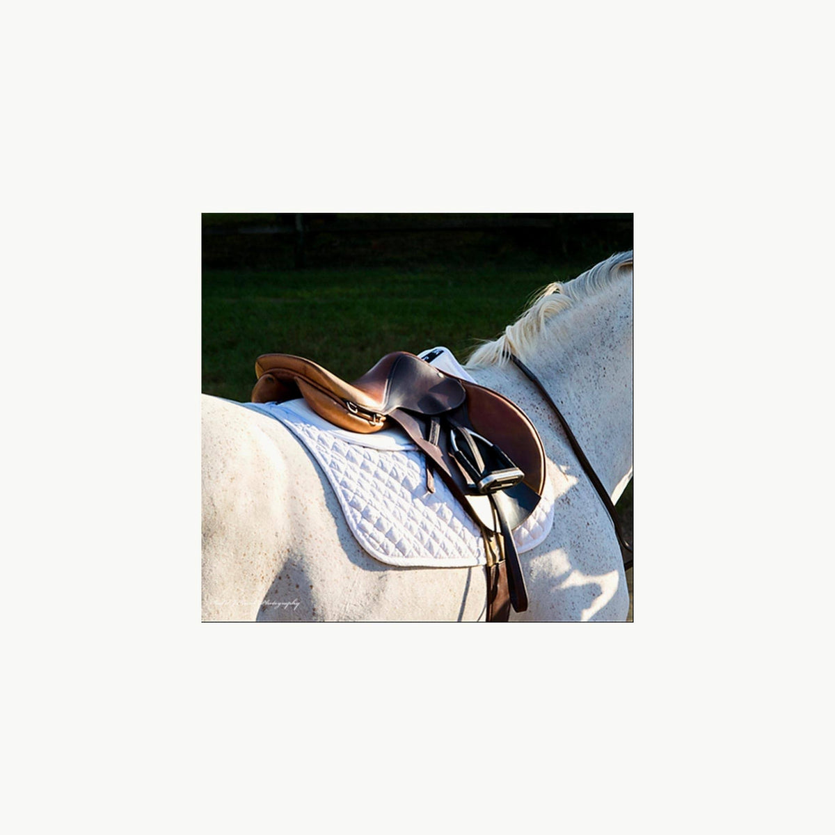 Cotton Half Pad P13398