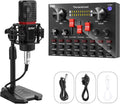 Condenser Microphone Bundle with Adjustable Microphone Stand O884366