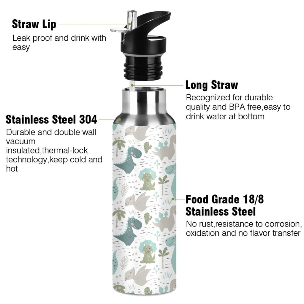 Stainless Steel Vacuum Insulated Water Bottle with Straw Lid 20 OZ N253578
