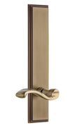 Vintage Brass Tall Plate Lever Y11326