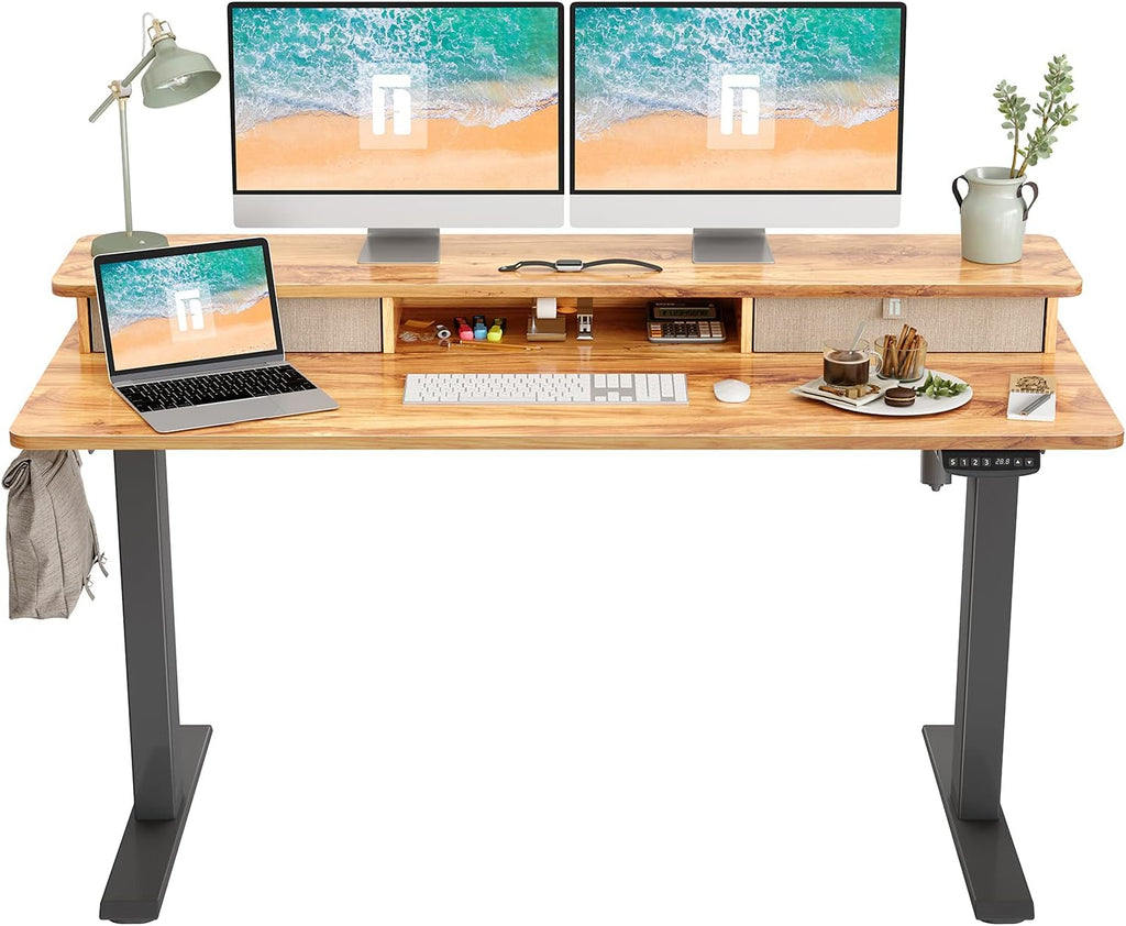 48 x 24 Inch Electric Standing Desk with Double Drawer L7478
