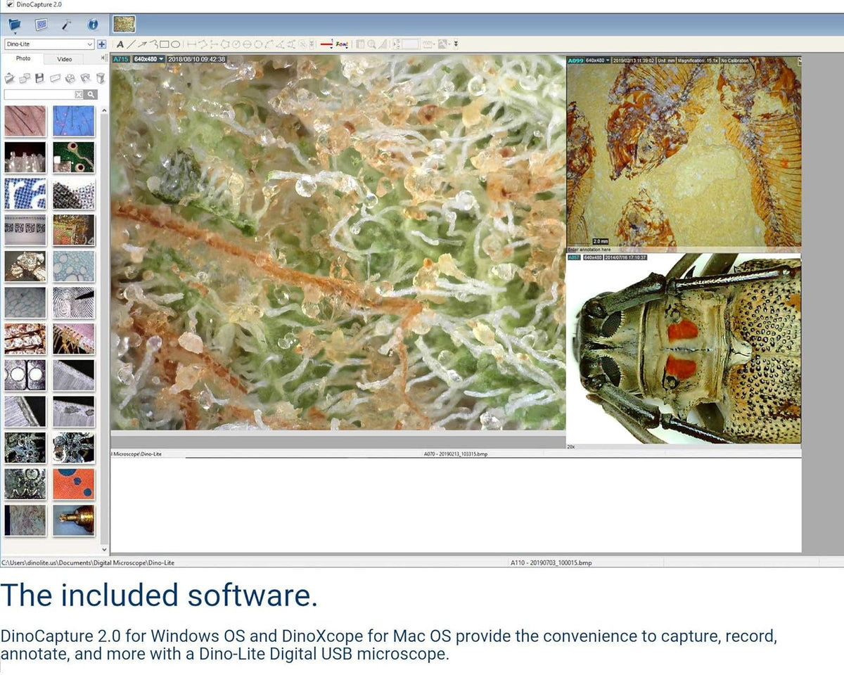 USB Digital Microscope, 10x - 50x, 230x Optical Magnification, 8 LEDs Q965036