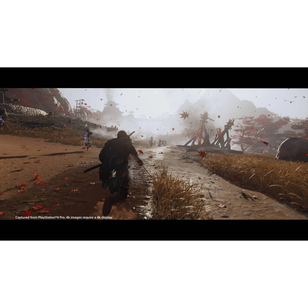 Ghost of Tsushima Special Edition PlayStation 4 D733