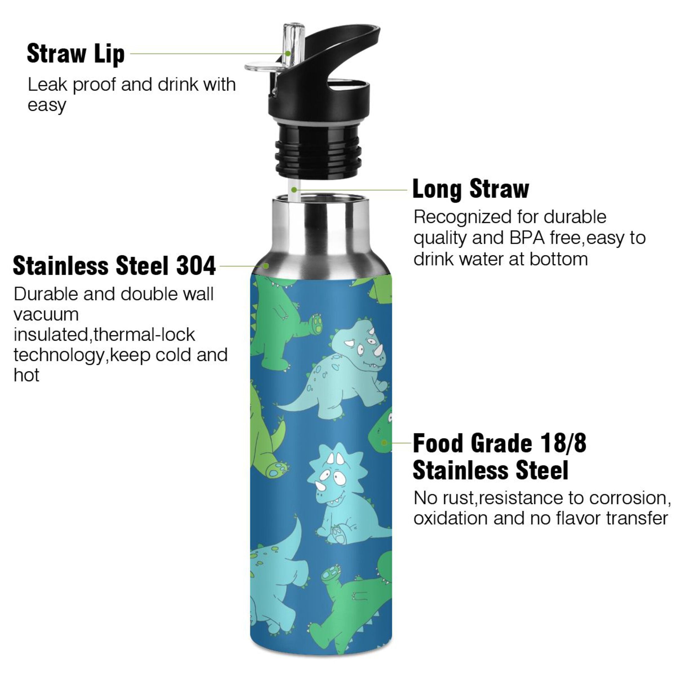 20 OZ Stainless Steel Vacuum Insulated Water Bottle with Straw Lid A471787