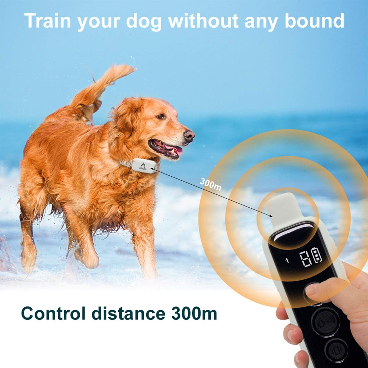 Non-Schock Remote Waterproof Rechargeable Dog Training Collar, Pack of 2 D63080