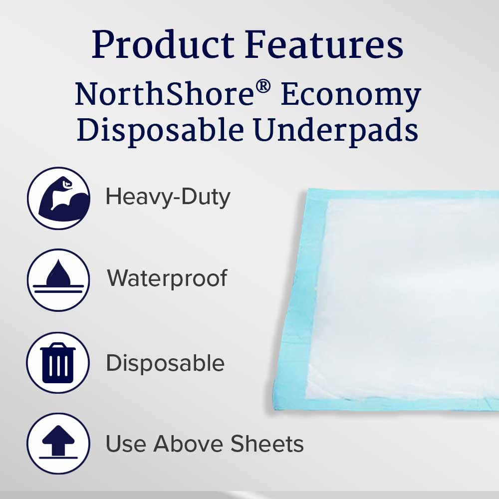 Economy Disposable Underpads, Large, 22x35 in., Case/150 K792