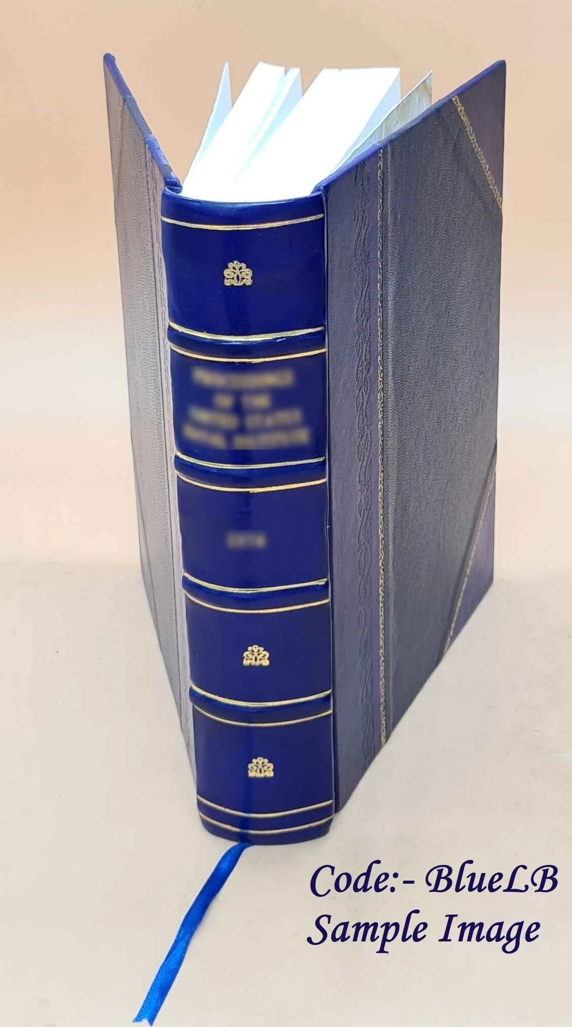 Leather Bound Book K30002