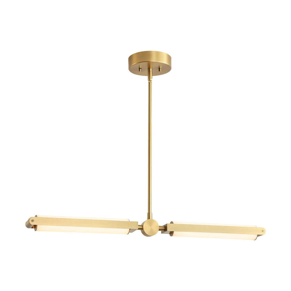 2-Light Integrated LED Contemporary Pendant J1777