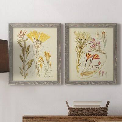 Antique Botanical Sketch Framed Print C89121