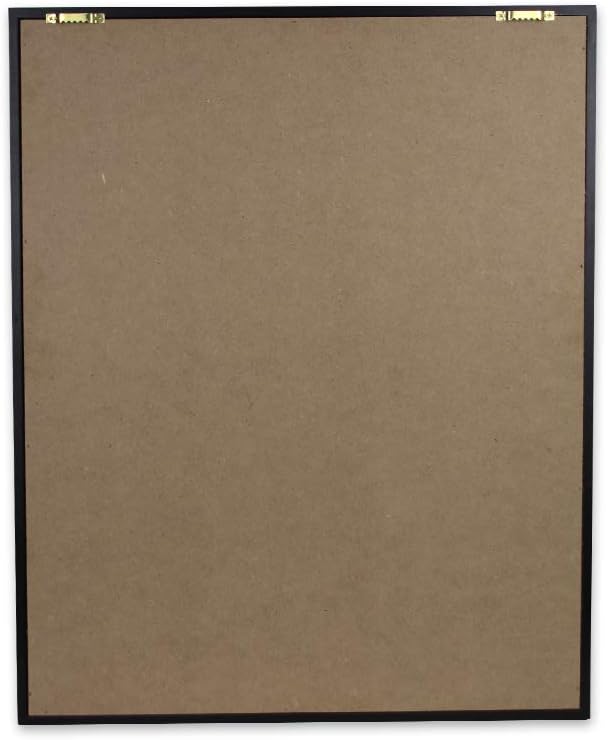 20 Baseball Display Case Cabinet with UV Protection Glass Door N213