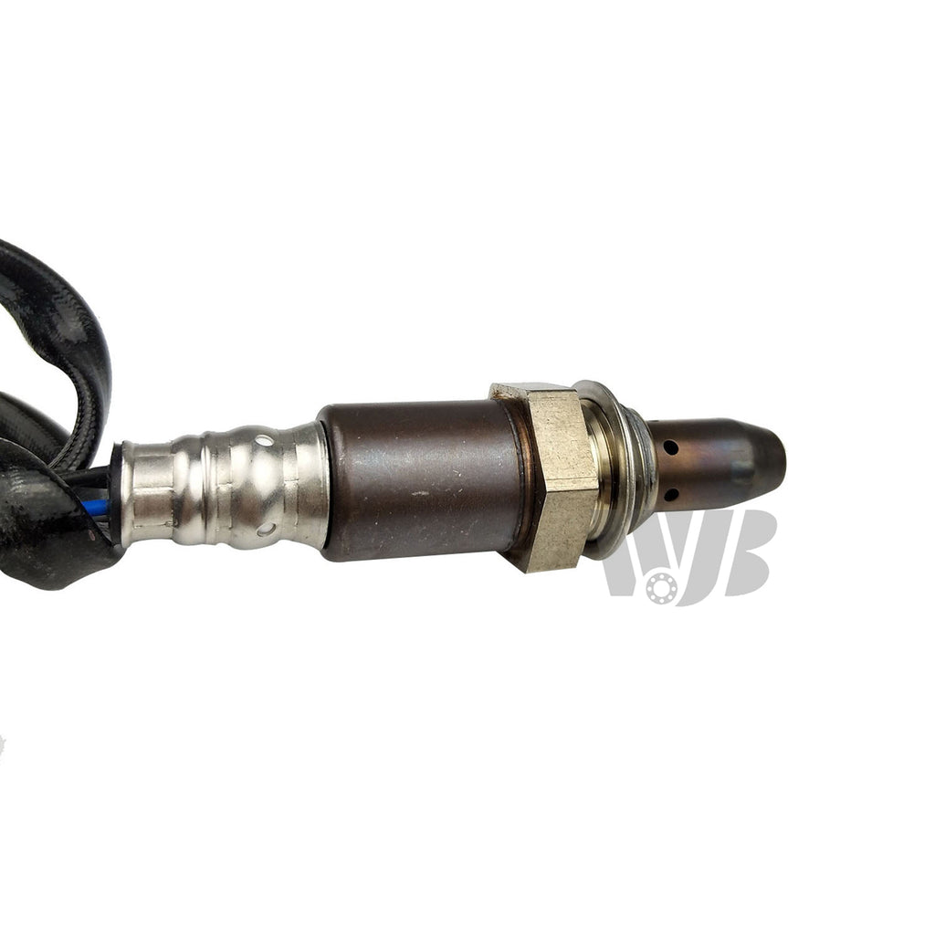 O2 Oxygen Sensor S244