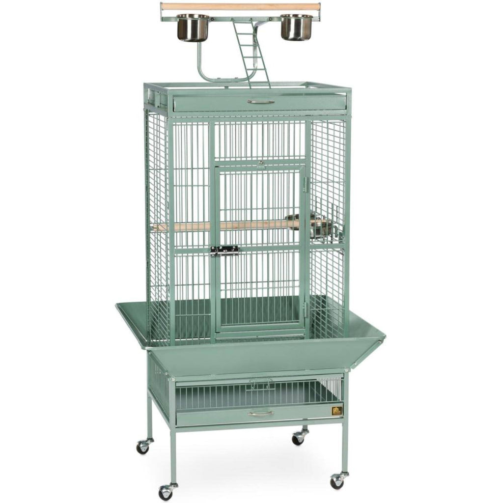 Sage Green Wrought Iron Bird Cage X8464
