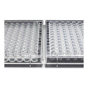 96 Well Non-Treated Plate, pk100 C5450