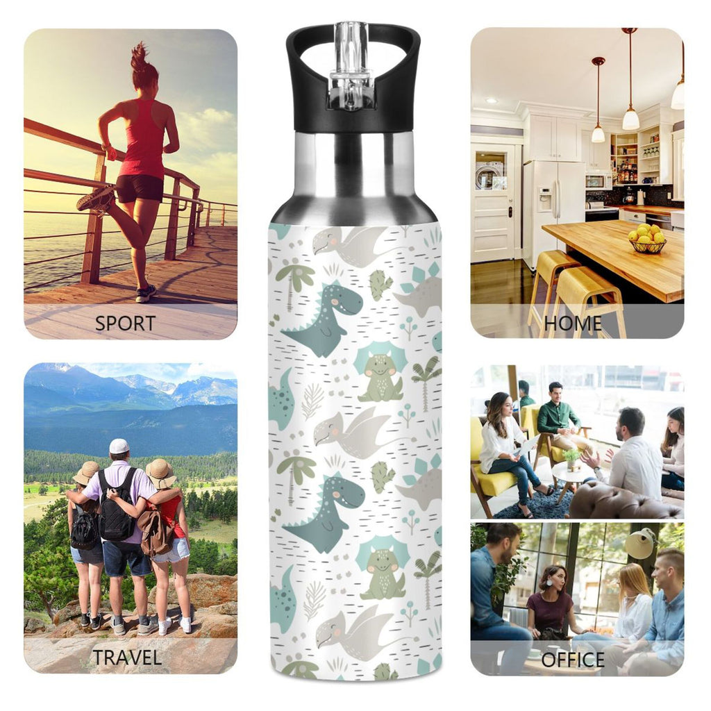 Stainless Steel Vacuum Insulated Water Bottle with Straw Lid 20 OZ N253578