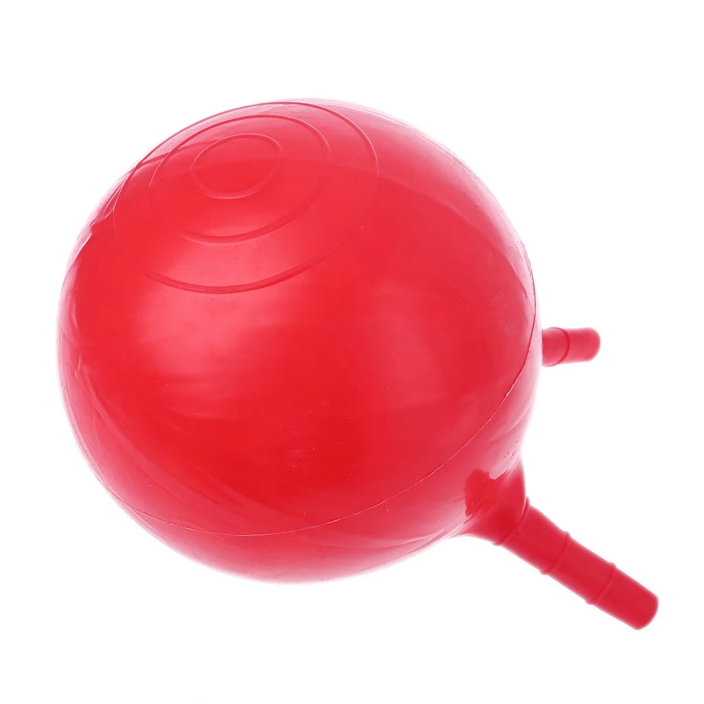 11in Inflatable Jump Ball Hopper Bounce Ball Kids Toy C948166