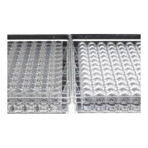 96 Well Non-Treated Plate, pk100 C5450