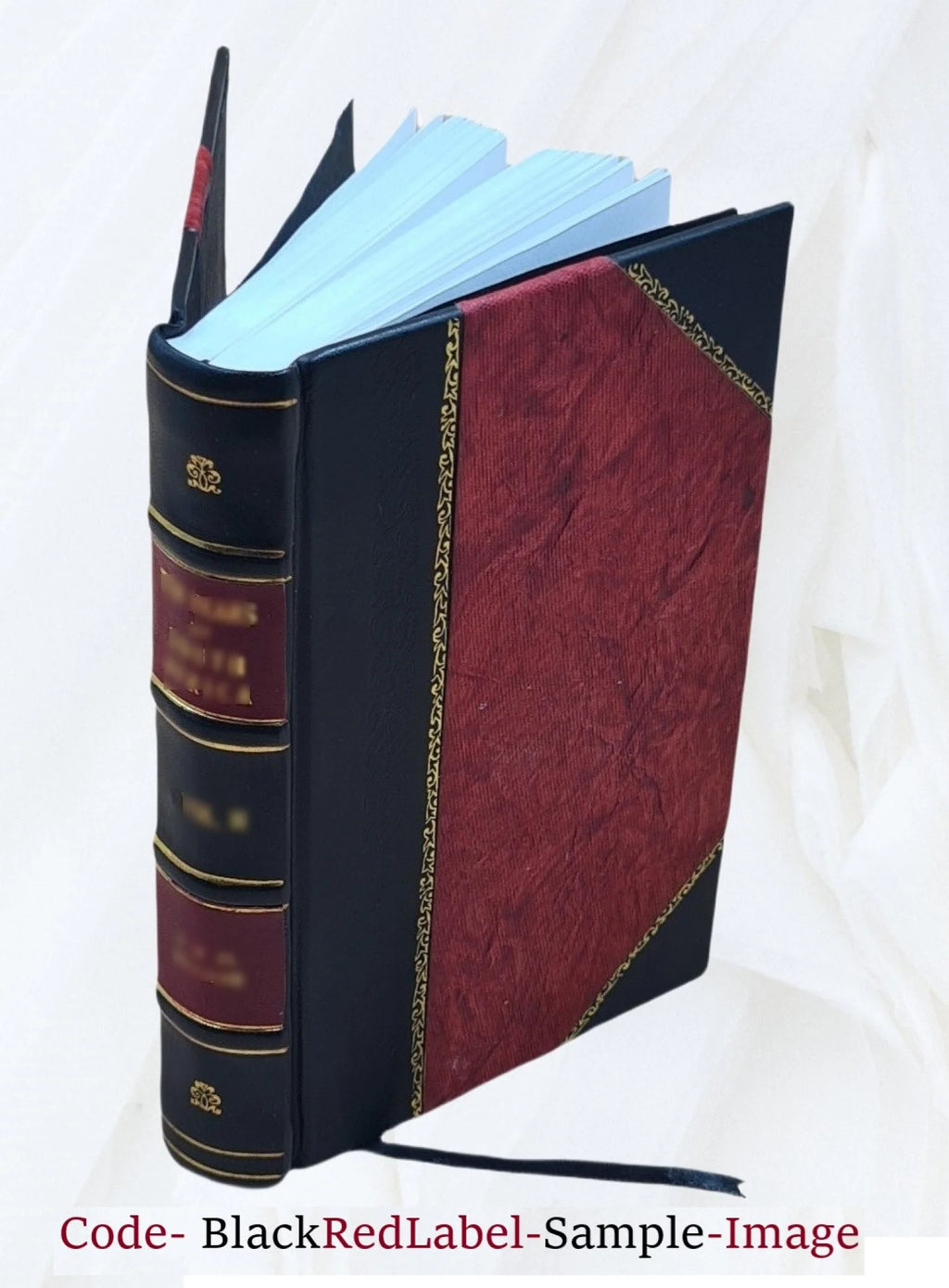 Leather Bound Book W1665